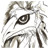 Crow mask